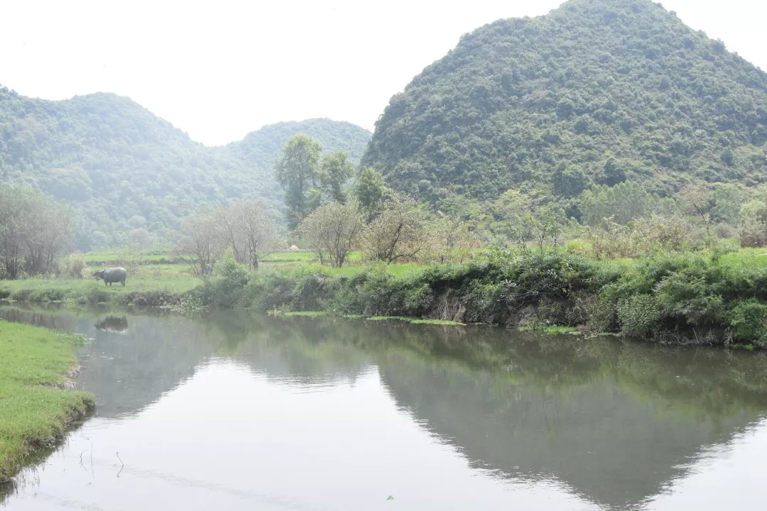 5b7f819ef225d.jpg 8.jpg