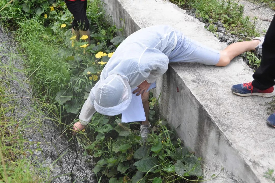 5b7f81a899344.jpg 9.jpg